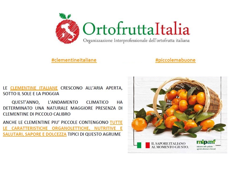 Il MIPAAF segnala una grossa crisi di vendita nel comparto delle Clementine Italiane Le terre di zoè