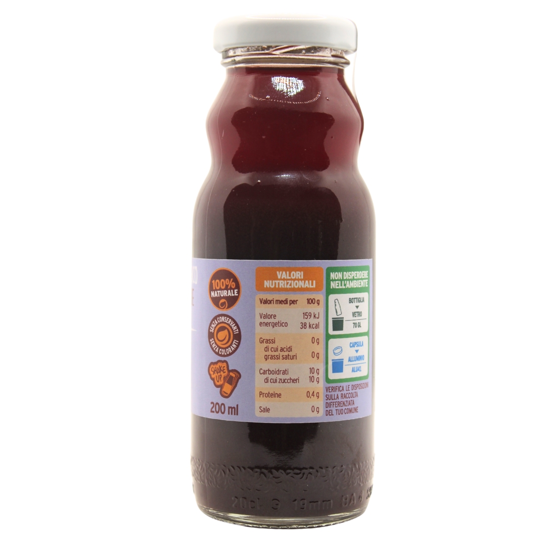 Smoothie aux myrtilles 200ml Le terre di zoè 2