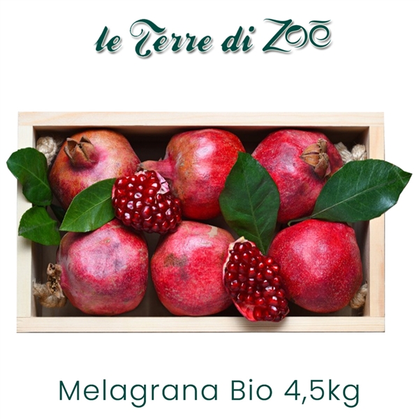 Organic Pomegranate Quality Jolly Red