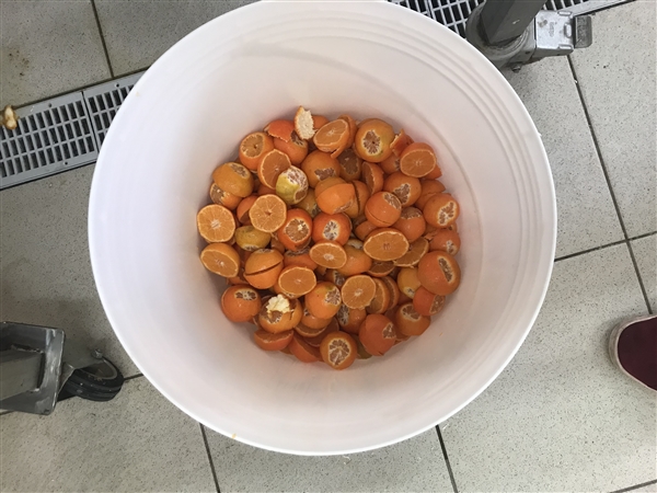 pastazzo di clementine Bio - Roc 1kg